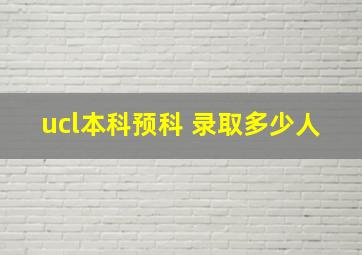 ucl本科预科 录取多少人